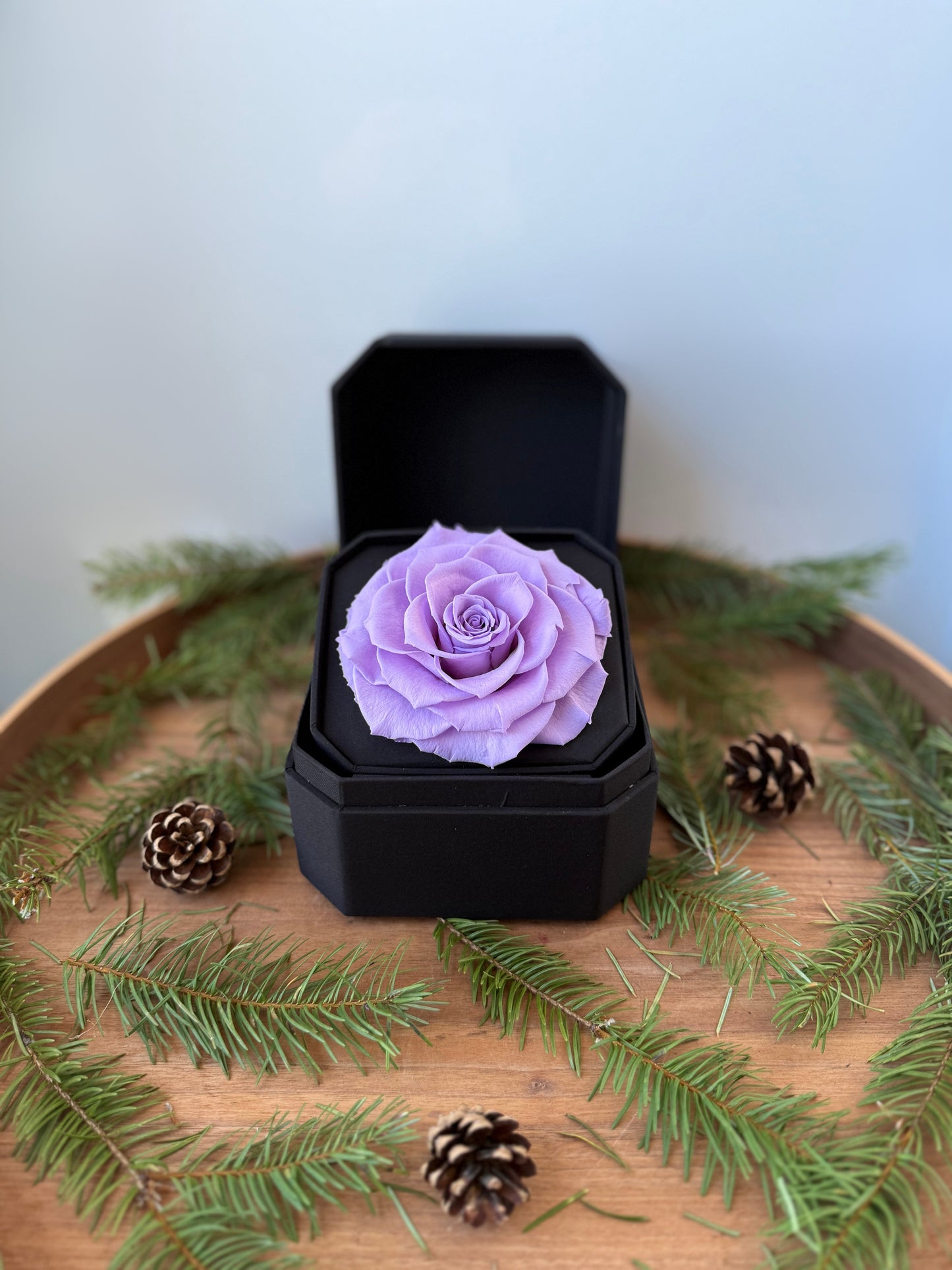 Violet Preserved Box