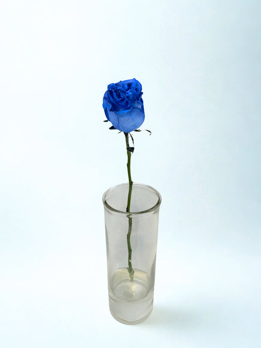 Rosa Azul