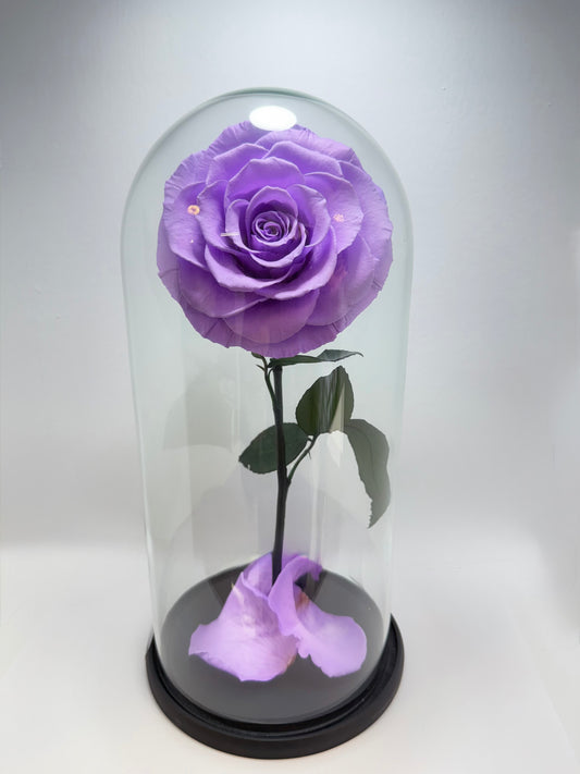 Flor Preservada Violeta Grande