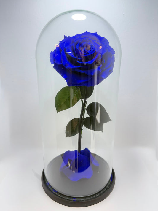 Flor Preservada Azul