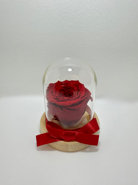Rosa Preservada Roja pequeña