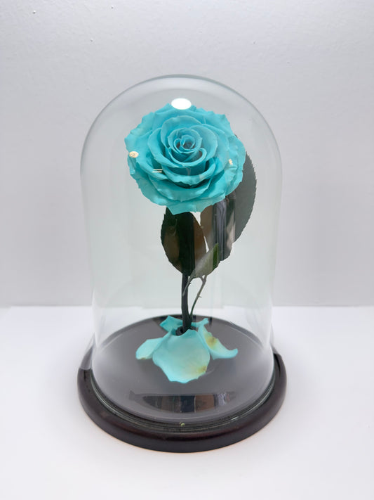 Flor Preservada Aqua Mediana