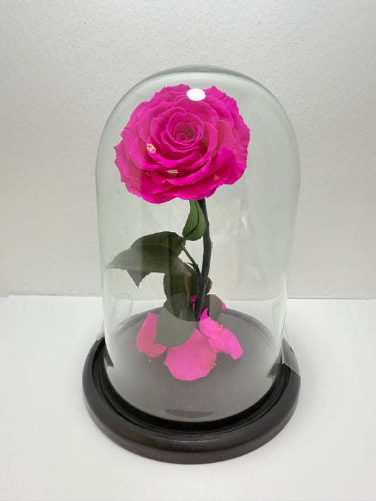 Flor Preservada Rosado Fuchsia