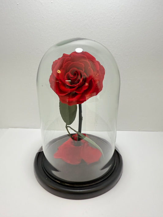 Flor Preservada Mediana Roja