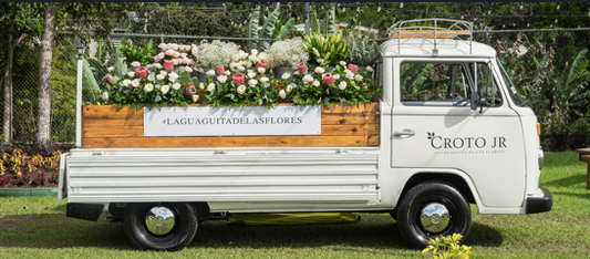 La Guagüita de las Flores #2