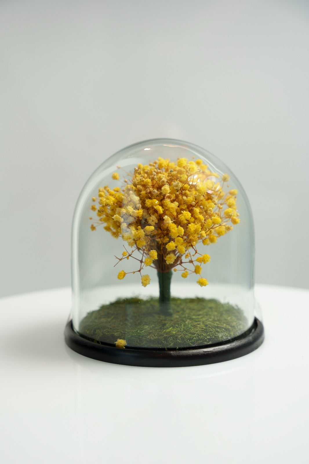 Baby Breath Amarillo