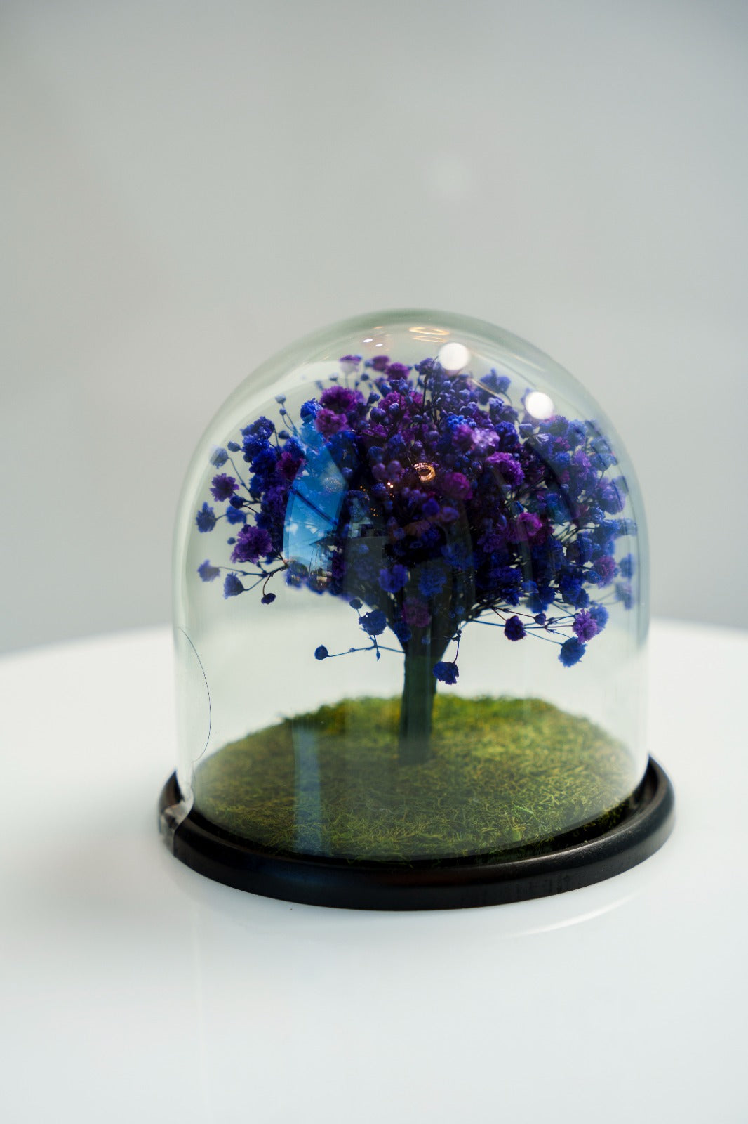 Baby Breath Azul