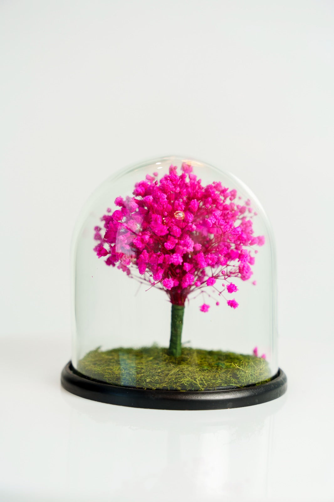 Baby Breath Rosada