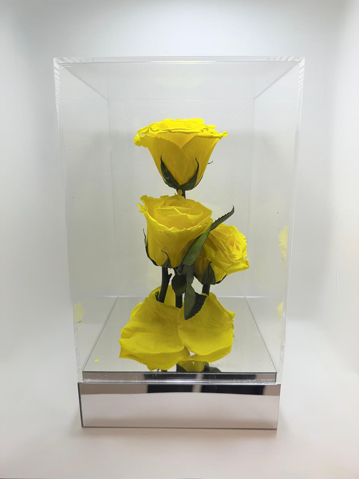 Flores Preservadas Amarillas