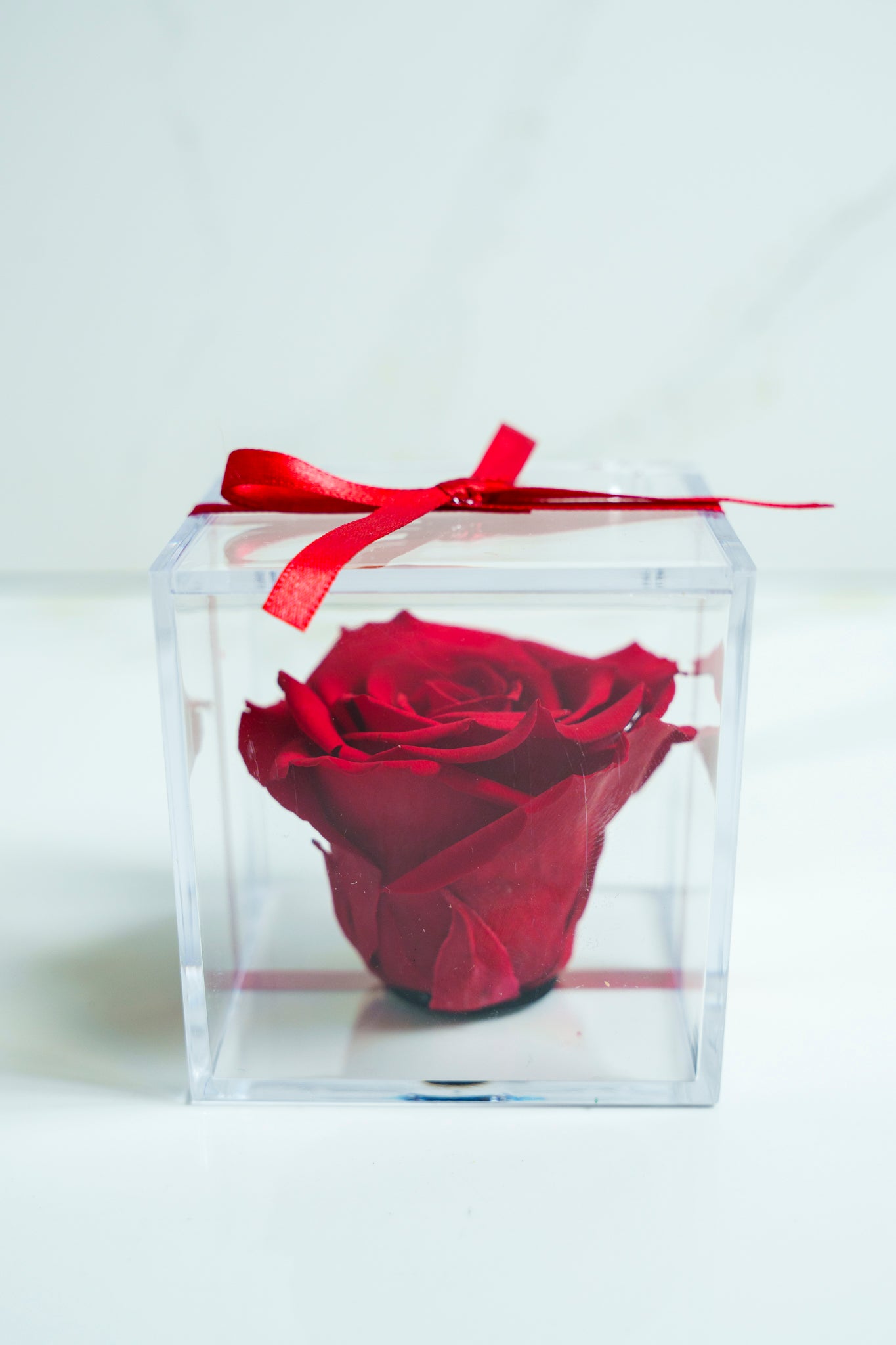 Rosa Preservada ROJO