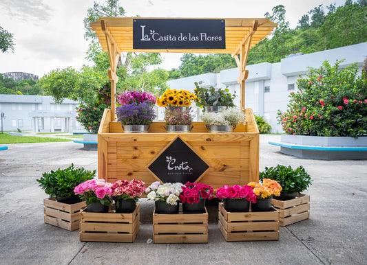 Paquete #3 La Casita de las Flores