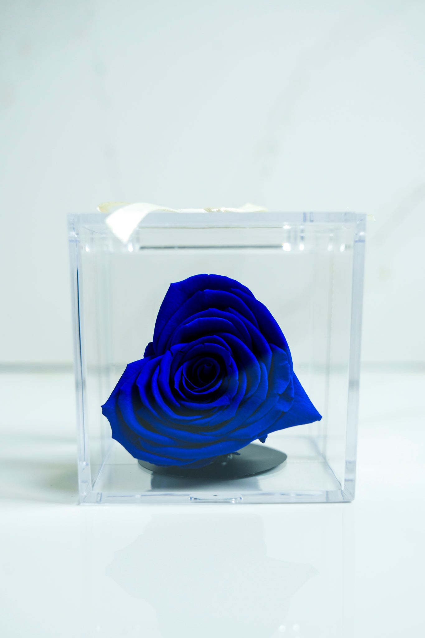 Rosa Preservada Azul Corazon