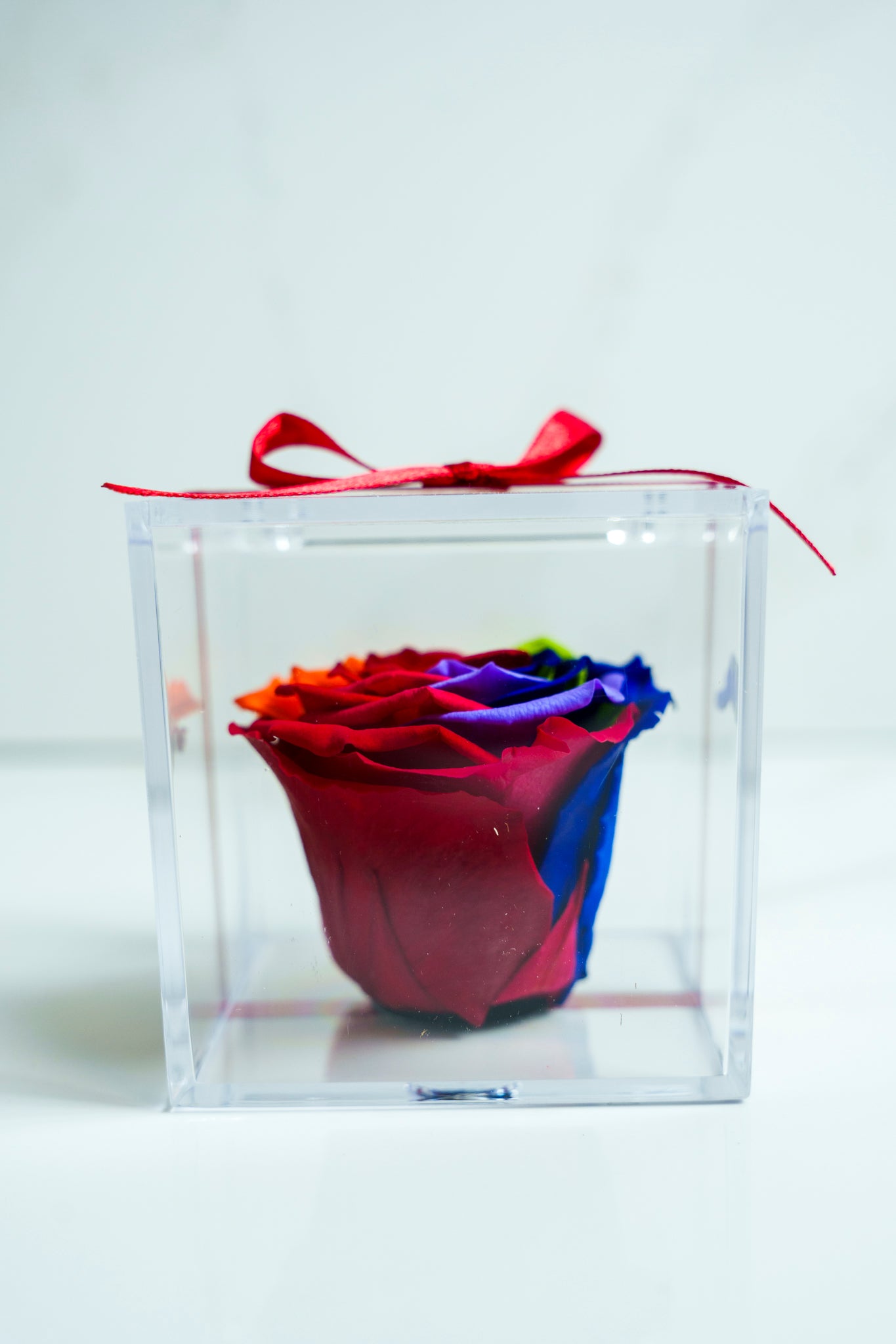 Rosa Preservada RAINBOW