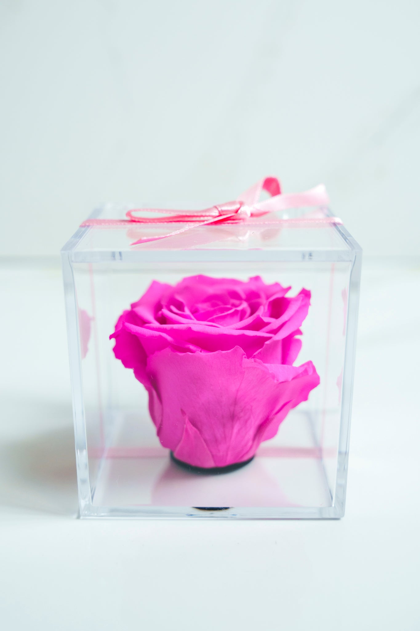 Rosa Preservada ROSADA