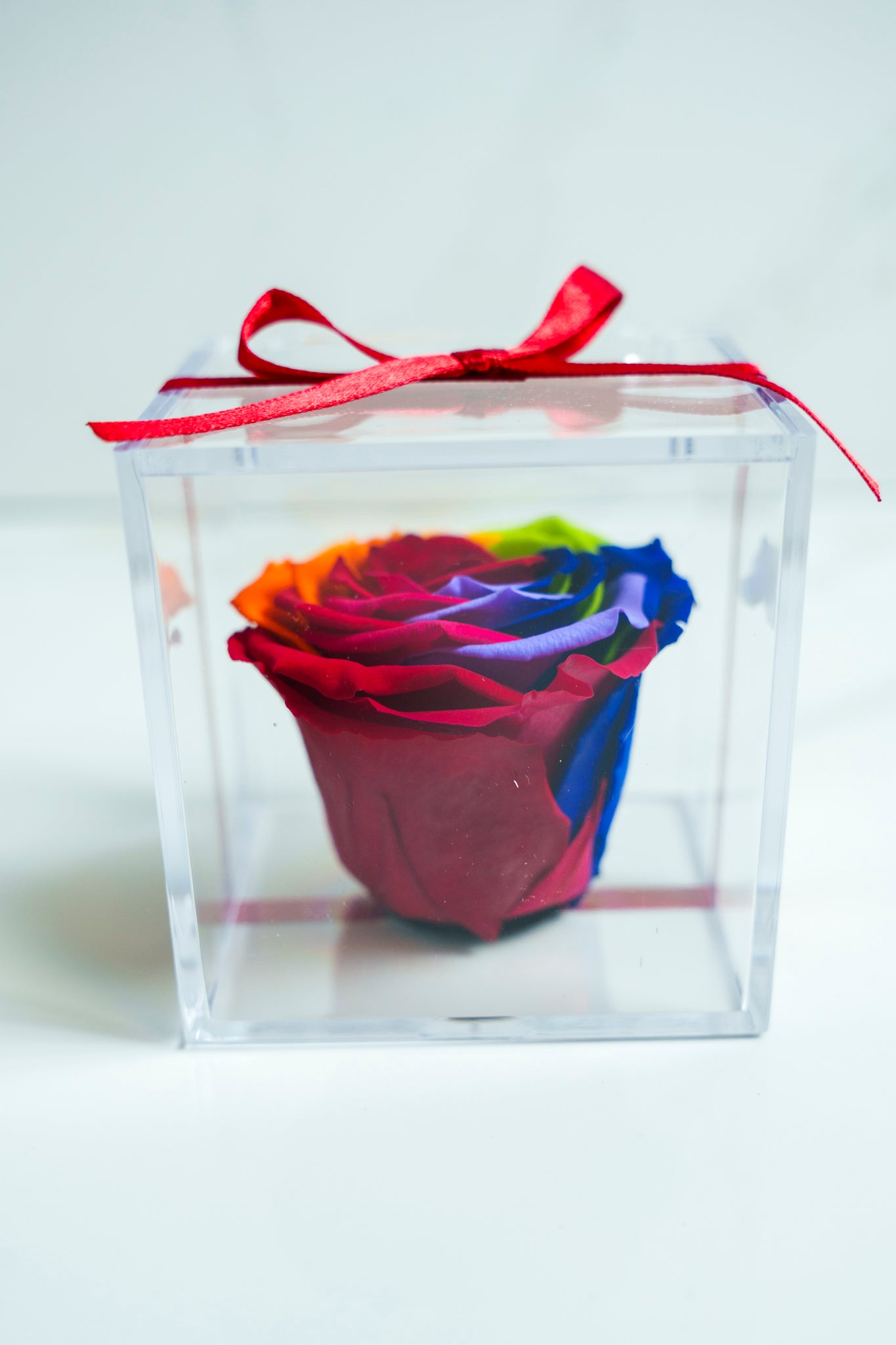 Rosa Preservada RAINBOW