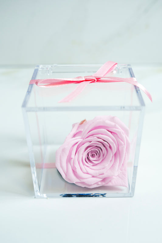 Rosa Preservada Corazon Rosado