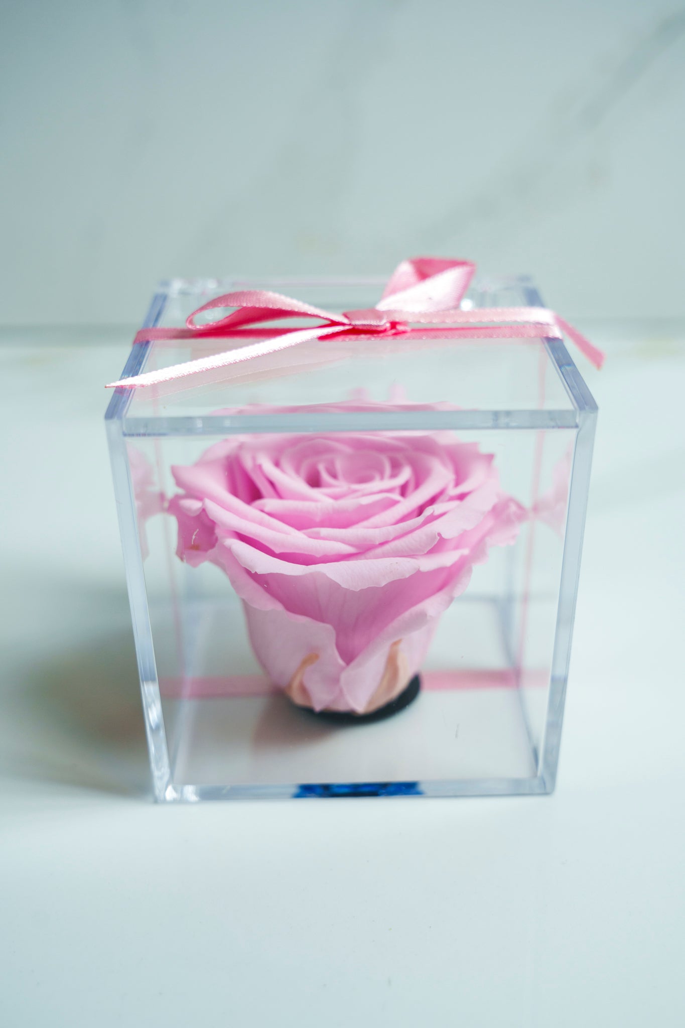 Rosa Preservada ROSITA