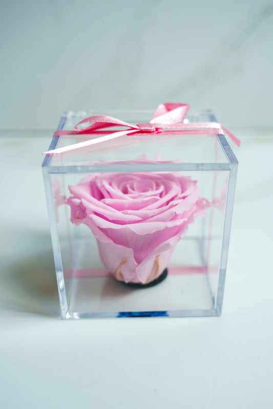 Rosa Preservada ROSITA