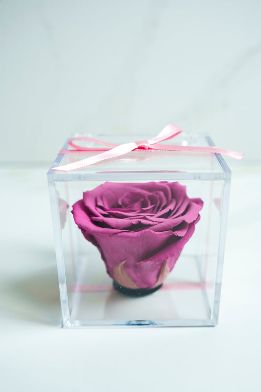 Rosa Preservada VIOLETA
