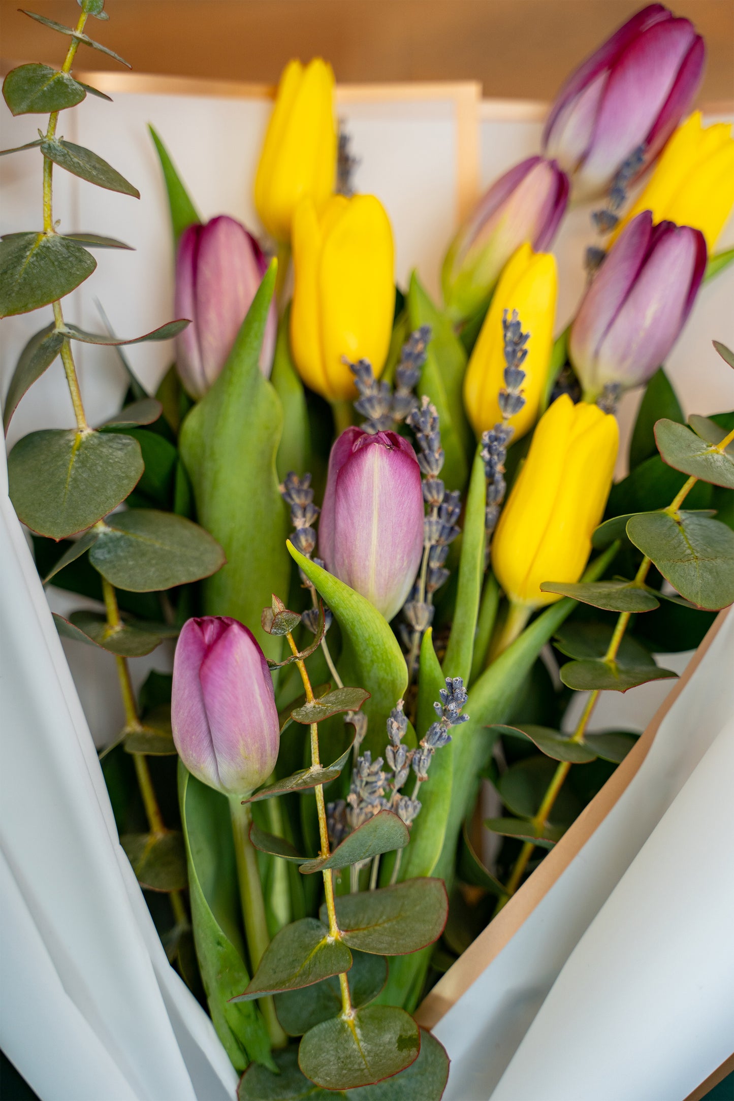Tulip's Bouquet