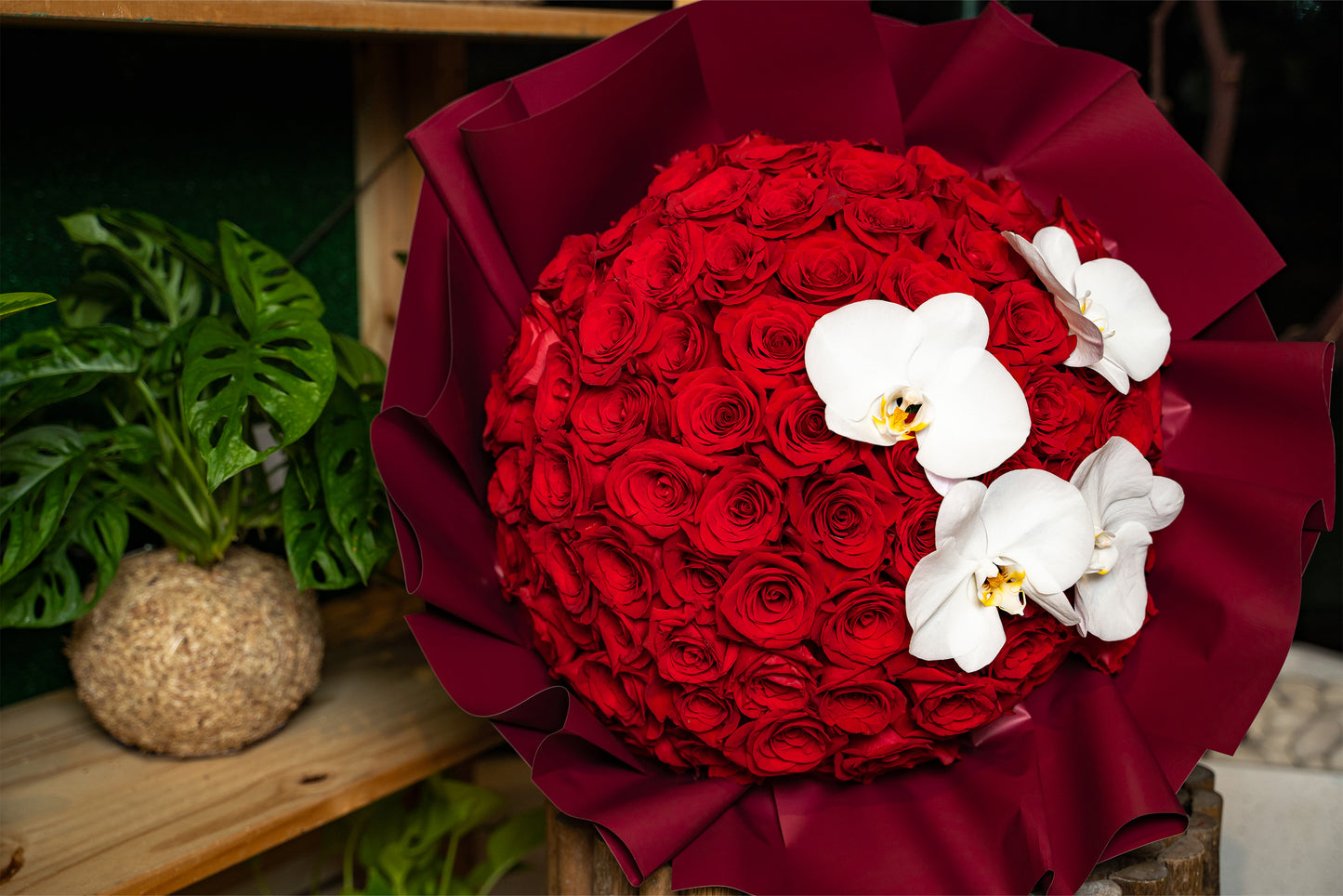 The Proposal rosas rojas 100