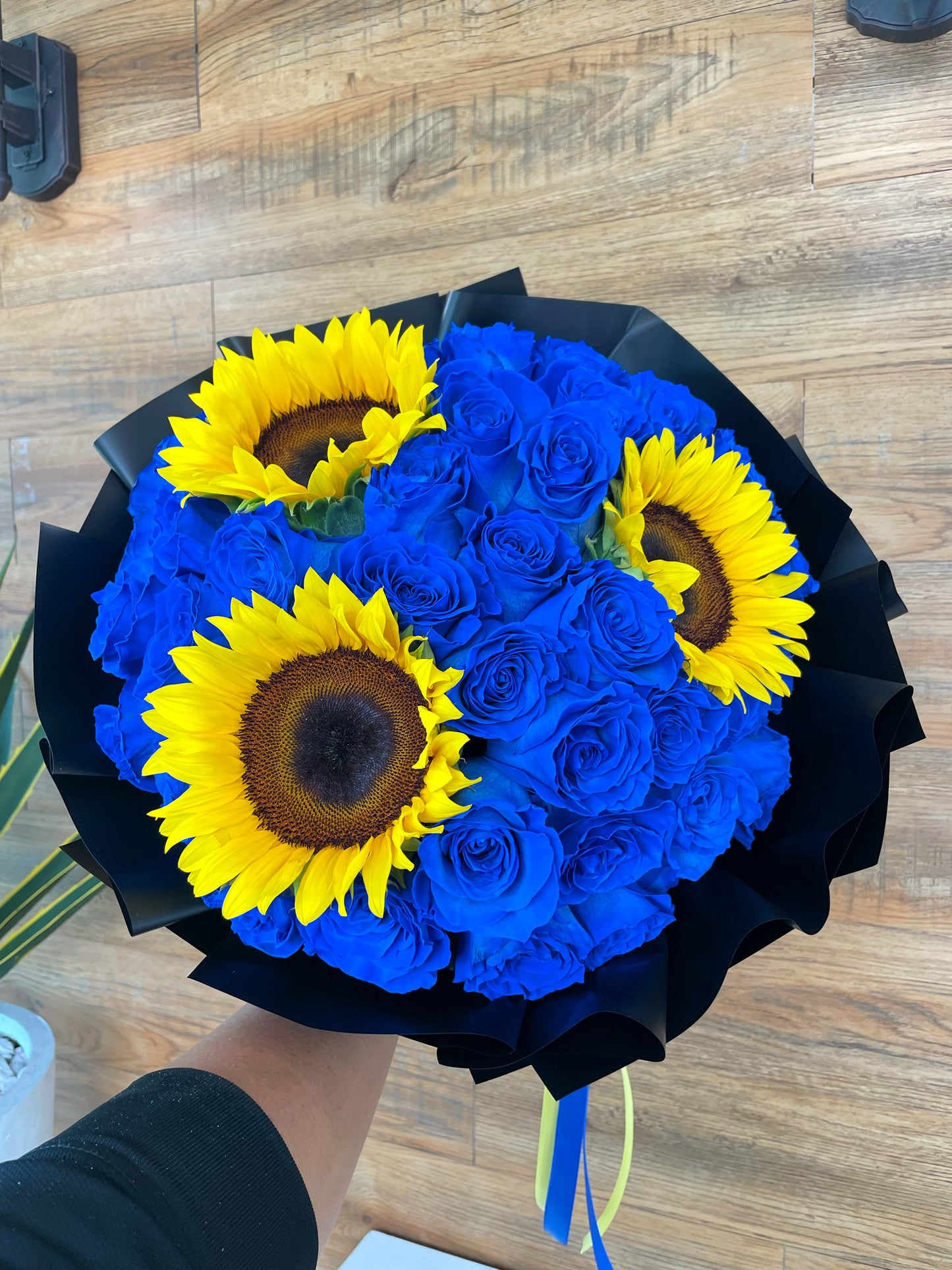 The Proposal girasol y rosas azules