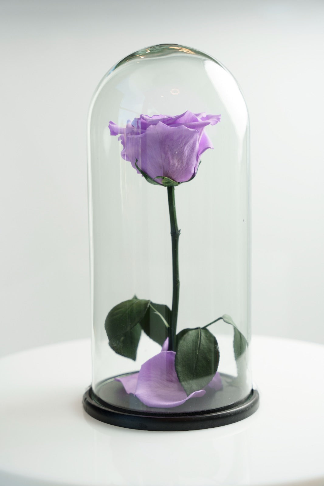 Flores preservadas