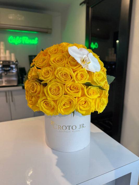 Mini Moon Yellow
