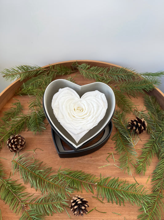 white Heart Preserved Box