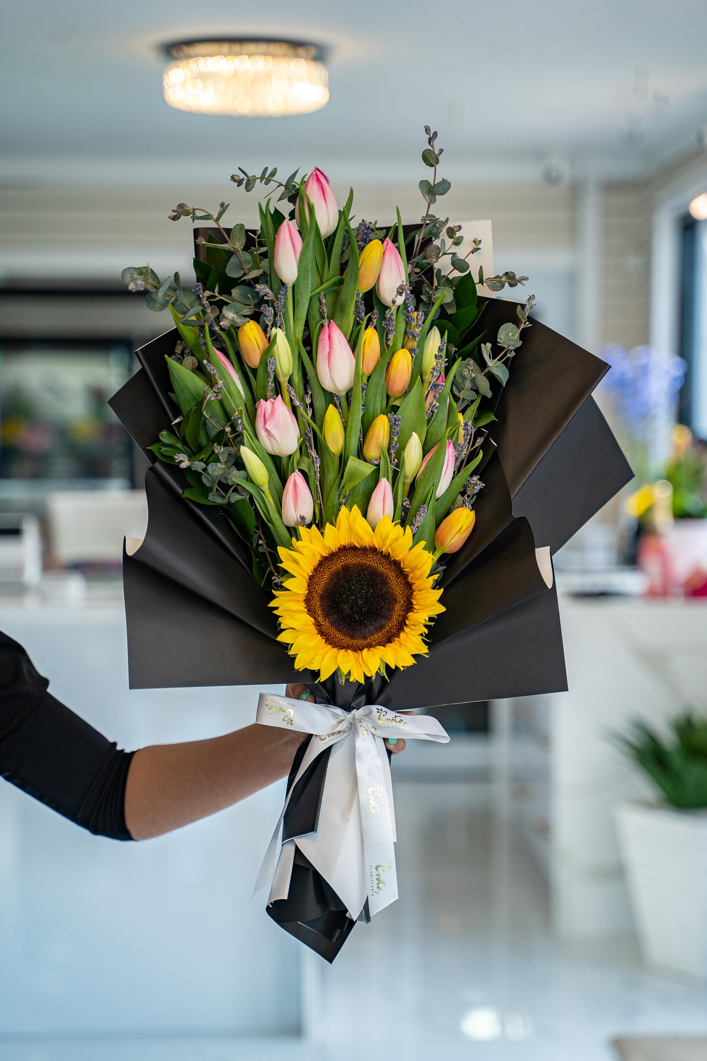 Tulip Breeze