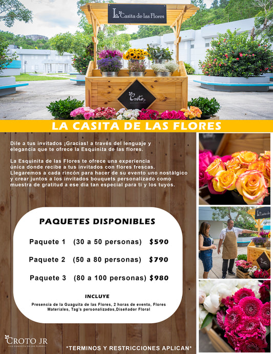 casita flyer