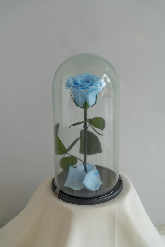 Eternity Blue