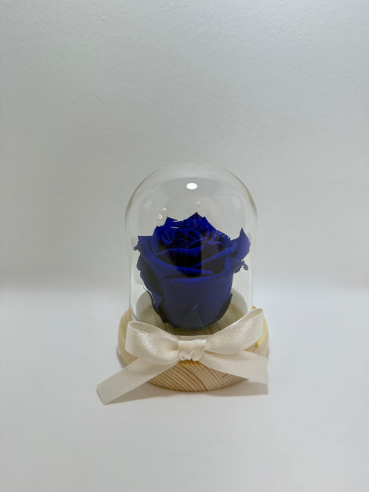 Rosa Preservada Azul