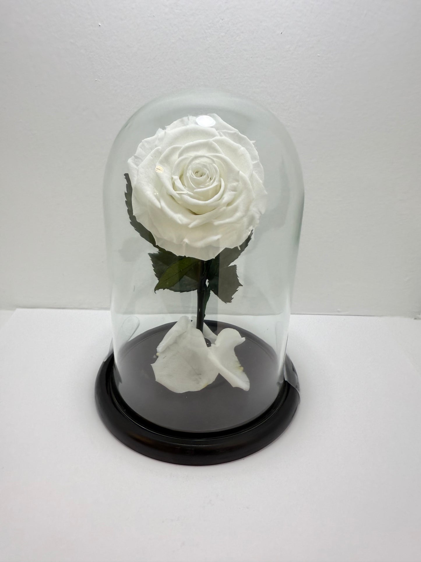 Flor Preservada Blanca Mediana