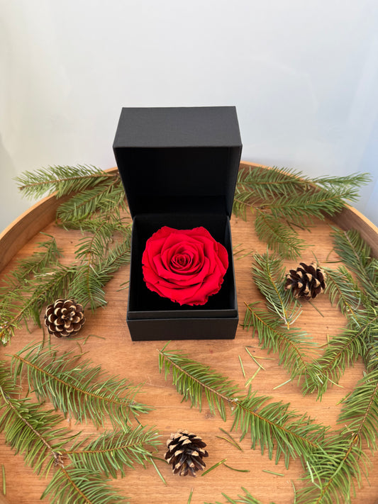 Red Preserved Medium Box