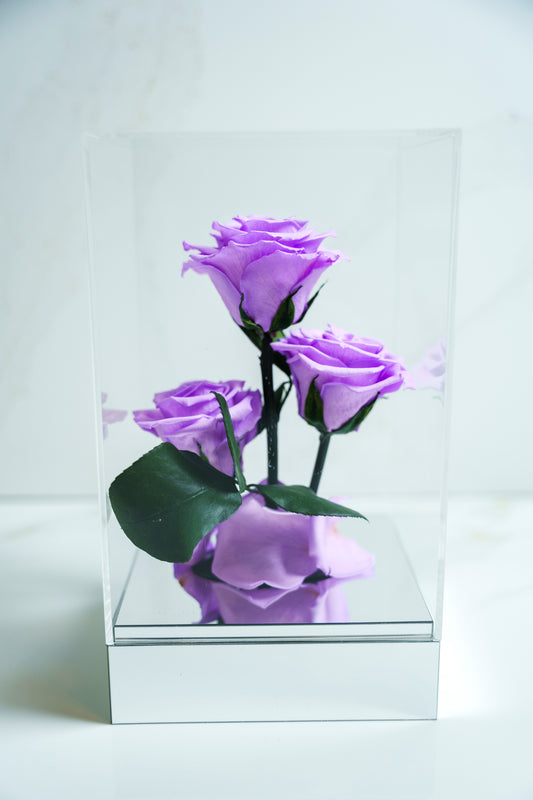 Rosas Preservadas Violeta Claro