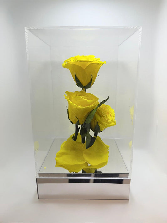 Flores Preservadas Amarillas