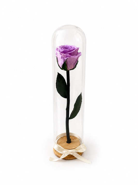 Preservada Tallo Fino Lucca Violeta