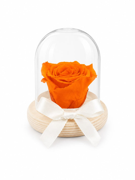 Rosa Preservada Anaranjada en Madera