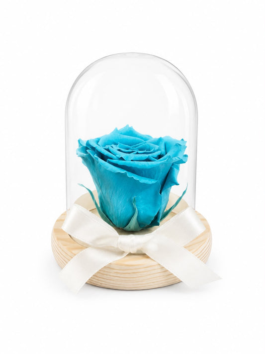 Rosa Preservada Azul Claro en Madera