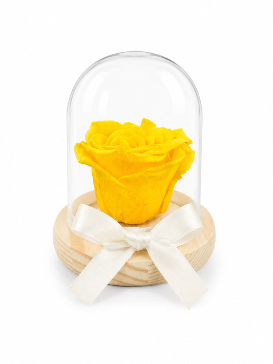 Rosa Preservada Amarilla en Madera