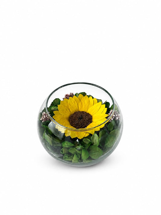 Esfera Girasol Preservado
