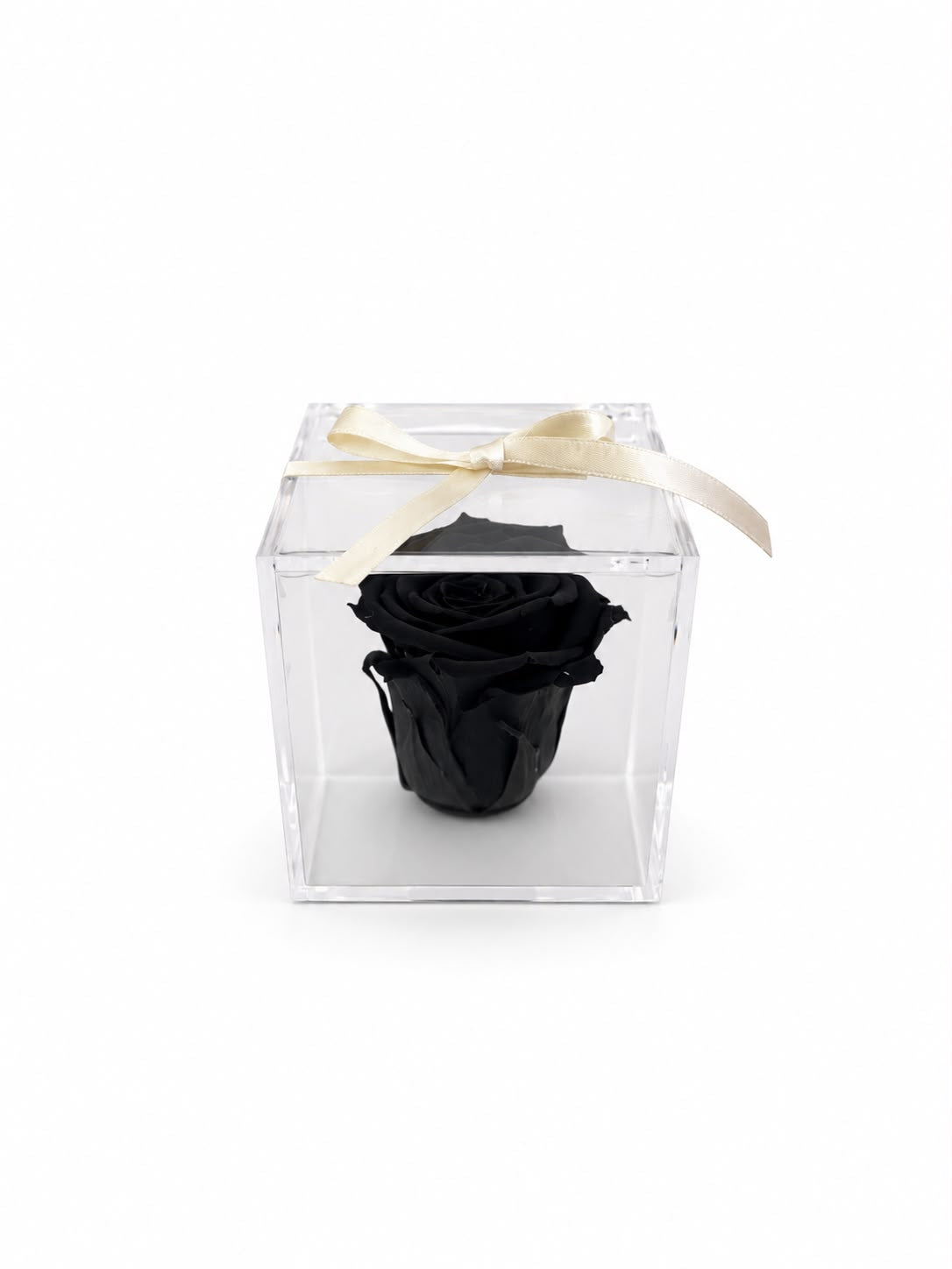 Rosa Preservada Negra