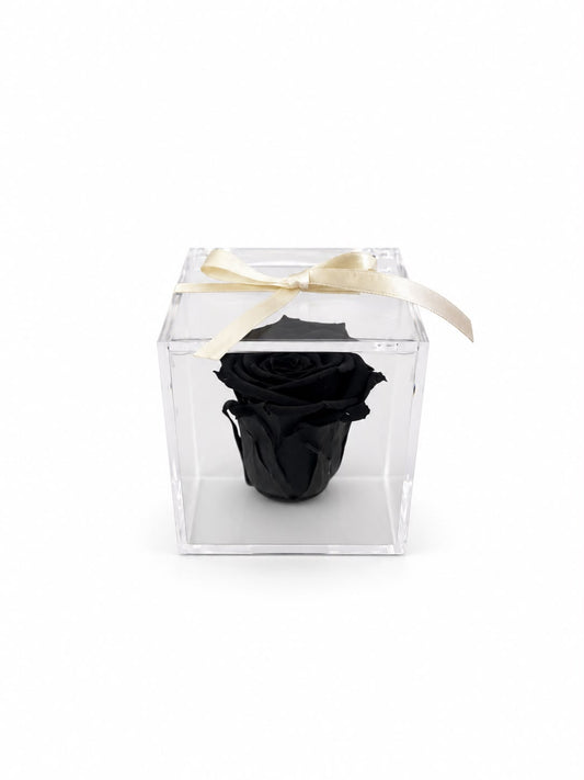 Rosa Preservada Negra