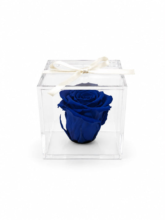 Rosa Preservada Azul