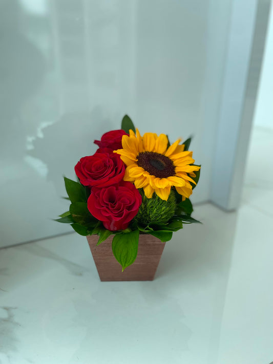 Mini Spring Box
