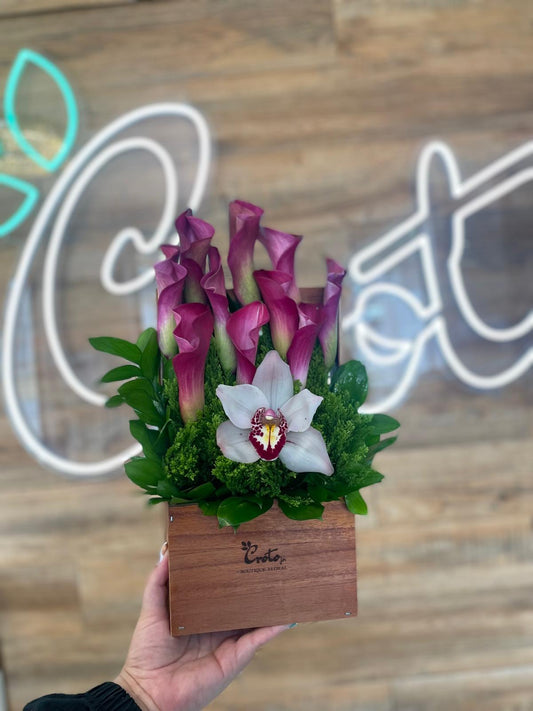 Mini Cala garden