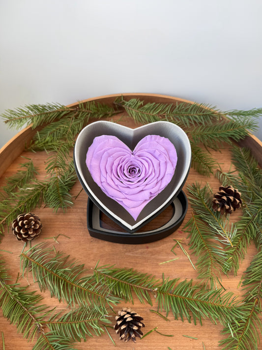 Violet Heart Preserved Box