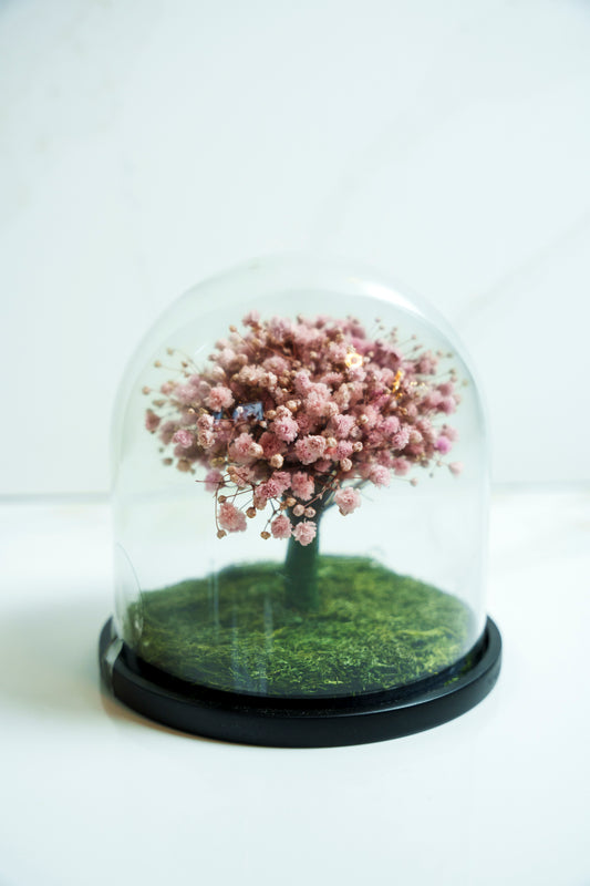 Baby Breath Preservado Crema