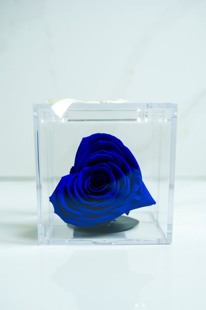 Rosa Preservada Azul Corazon